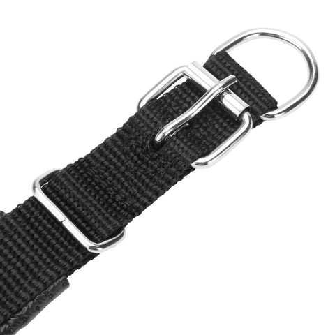 Image of GPS Pet Tracker